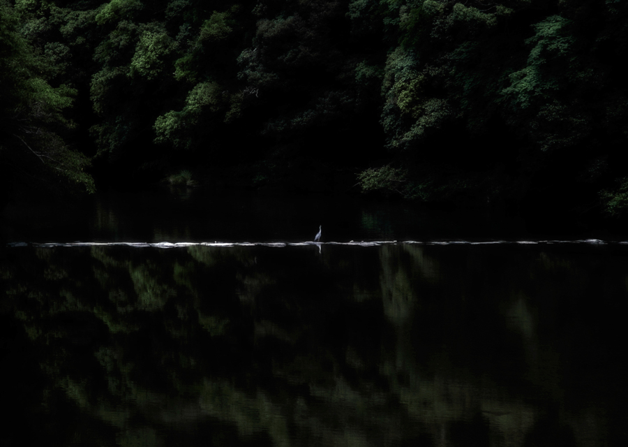 selfwork048